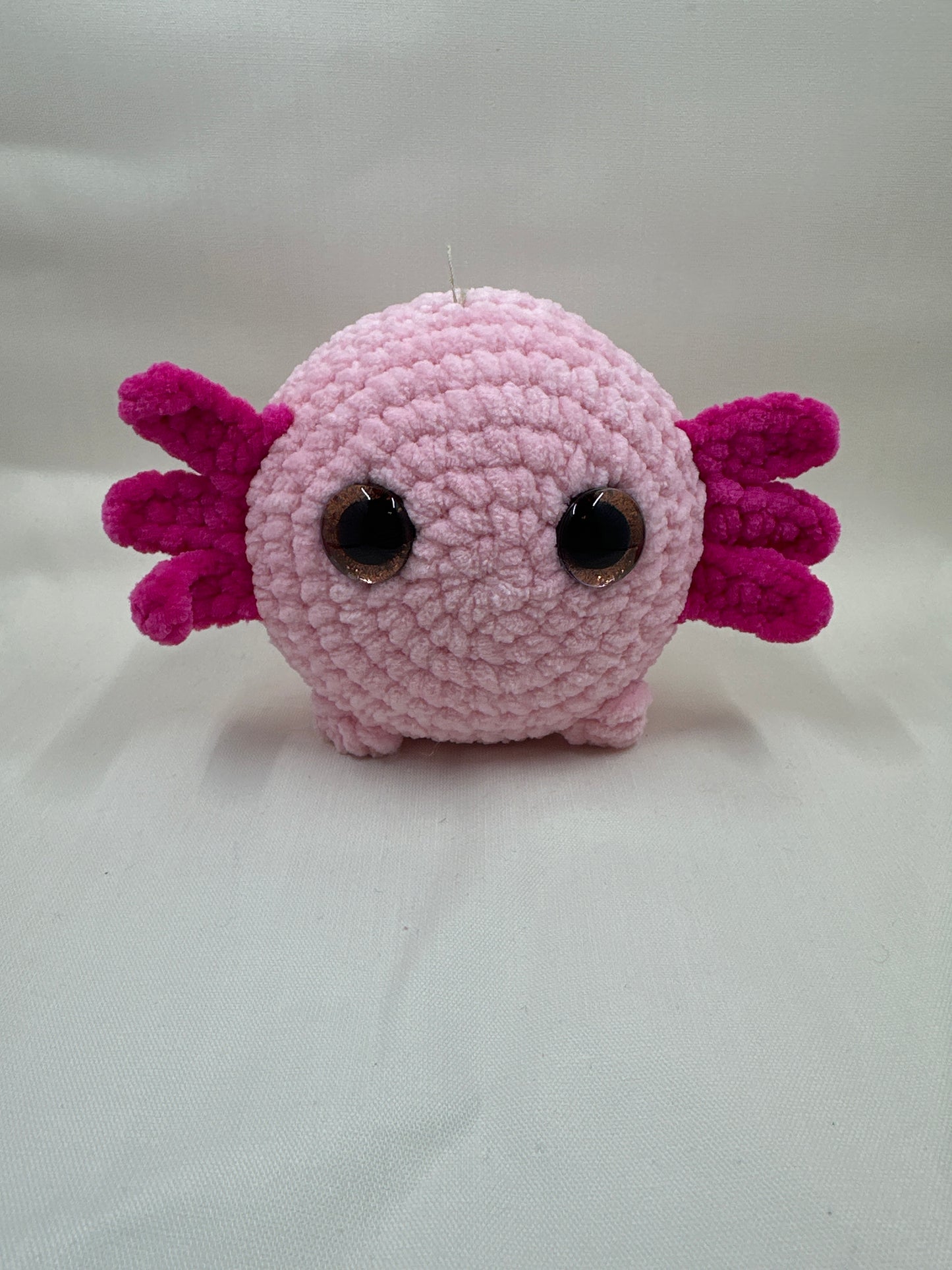 Axolotl ￼