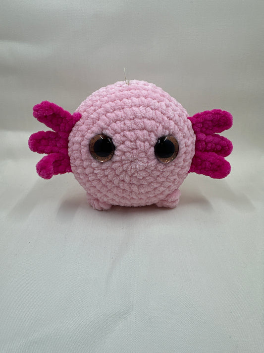 Axolotl ￼
