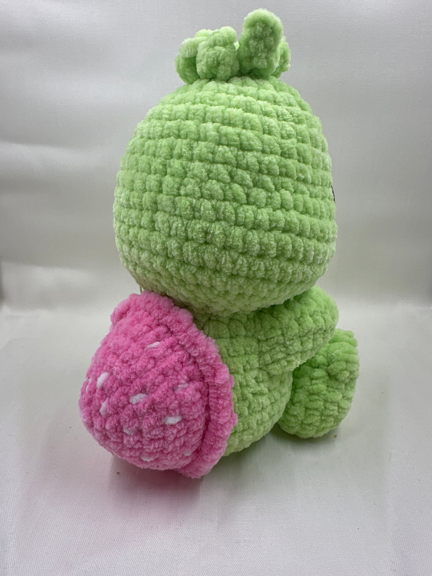 Strawberry Turtle